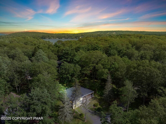 72 Forest Dr, Lake Harmony, PA 18624 - photo 60