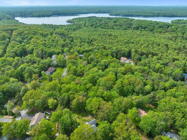 3137 Fern Rd, Pocono Summit, PA 18346 - aerial overview of property's location featuring a heavily wooded area and a large body of water