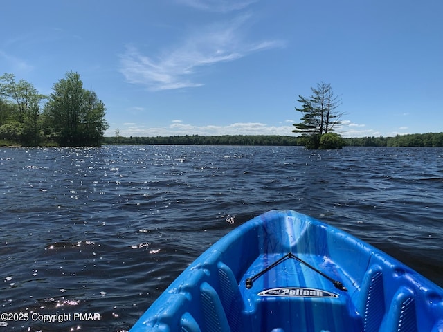 3137 Fern Rd, Pocono Summit, PA 18346 - water view