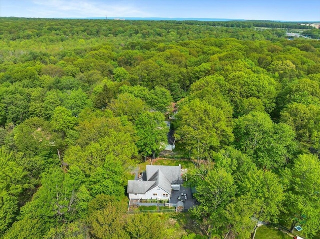 3137 Fern Rd, Pocono Summit, PA 18346 - aerial view of property and surrounding area with a forest