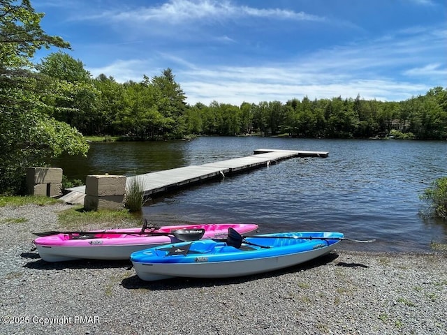 3137 Fern Rd, Pocono Summit, PA 18346 - dock area featuring a water view and a wooded view