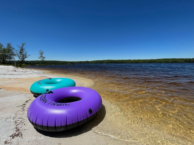 3137 Fern Rd, Pocono Summit, PA 18346 - water view