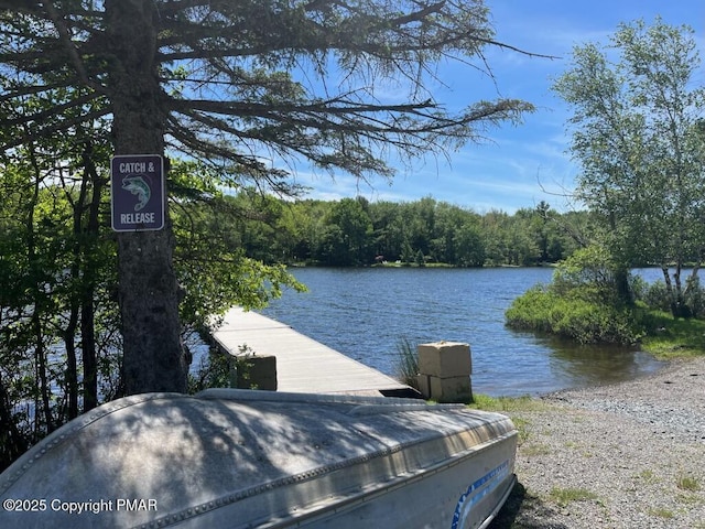 3137 Fern Rd, Pocono Summit, PA 18346 - dock featuring a water view and a view of trees