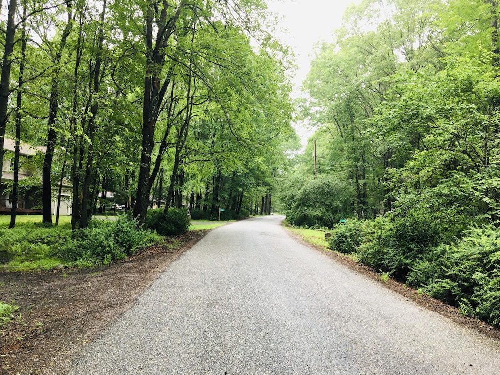 LOT506 Ridge Rd, Pocono Lake, PA 18347