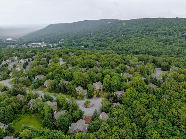 153 Pine Ct, Tannersville, PA 18372 - photo 44