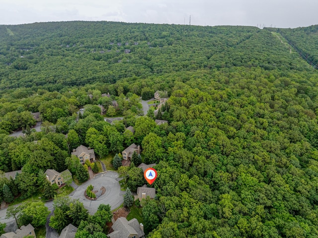 153 Pine Ct, Tannersville, PA 18372 - photo 46