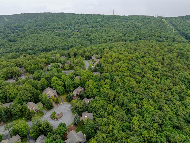 153 Pine Ct, Tannersville, PA 18372 - photo 45