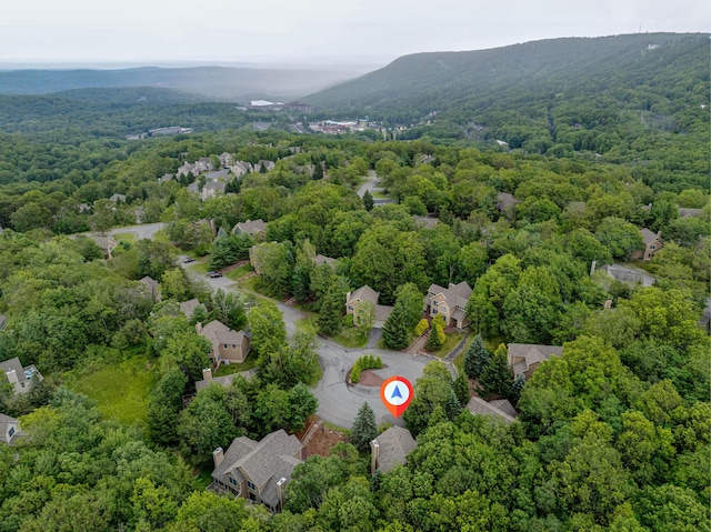 153 Pine Ct, Tannersville, PA 18372 - photo 40