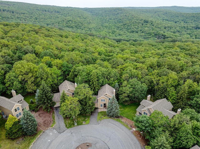 153 Pine Ct, Tannersville, PA 18372 - photo 41
