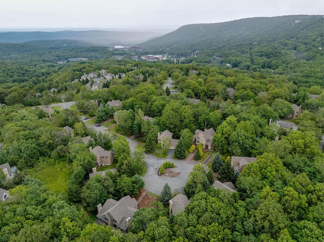 153 Pine Ct, Tannersville, PA 18372 - photo 43