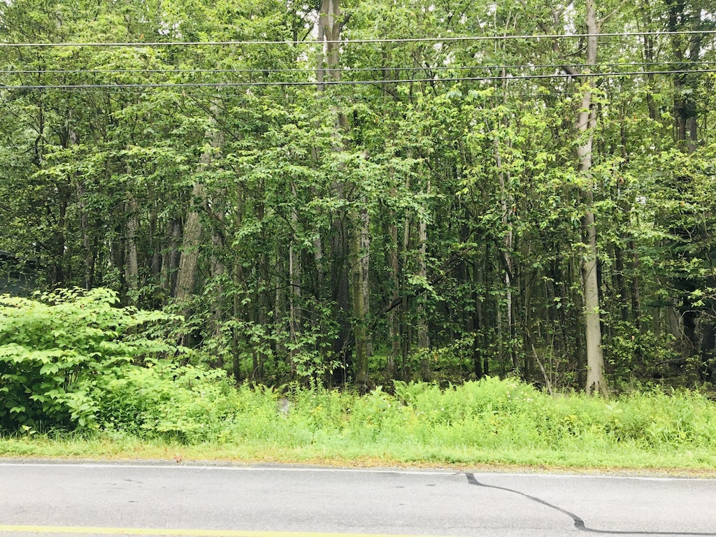 40 Gross Dr W, Pocono Pines, PA 18350 - photo 4