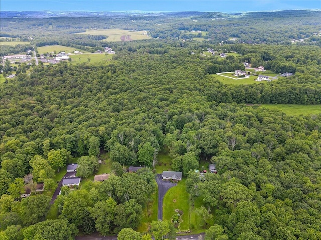 41 Mountain Crest Dr, Lake Ariel, PA 18436 - photo 51