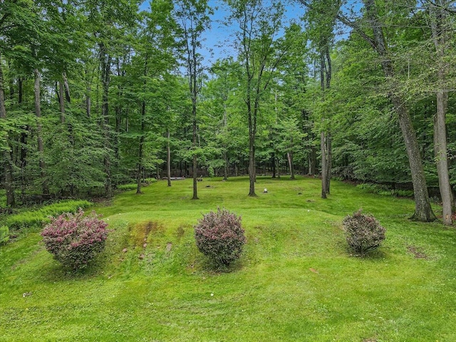 41 Mountain Crest Dr, Lake Ariel, PA 18436 - photo 44