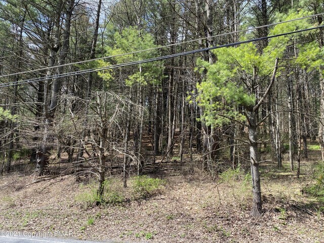 Haney Rd, Kunkletown, PA 18058 - photo 5