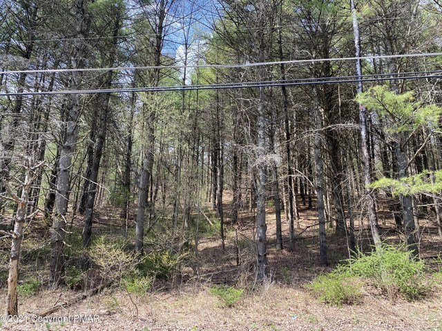 Haney Rd, Kunkletown, PA 18058 - photo 6