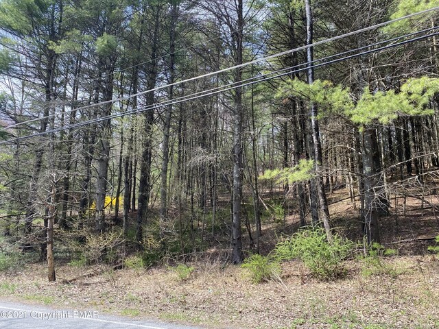 Haney Rd, Kunkletown, PA 18058 - photo 4