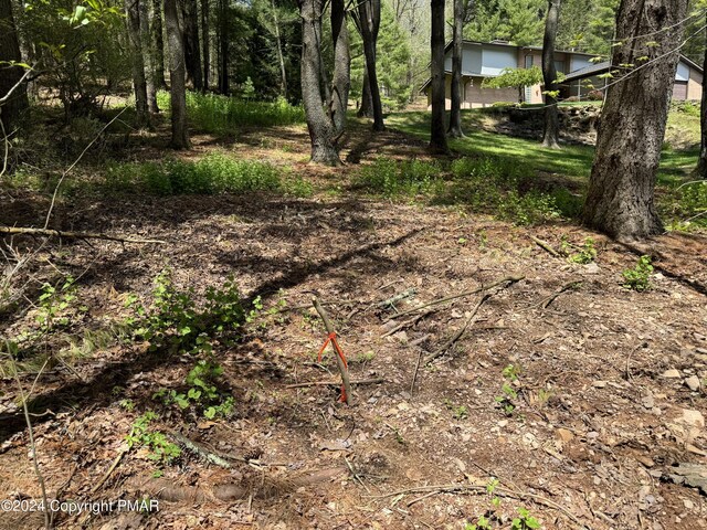 Haney Rd, Kunkletown, PA 18058 - photo 8