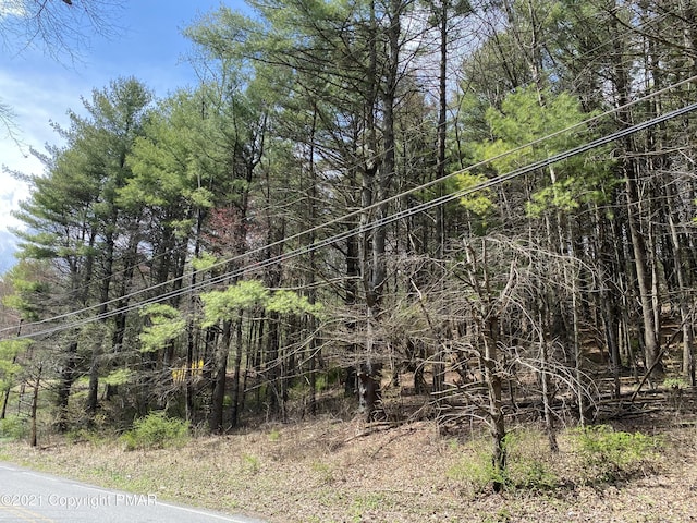 Haney Rd, Kunkletown, PA 18058 - photo 3