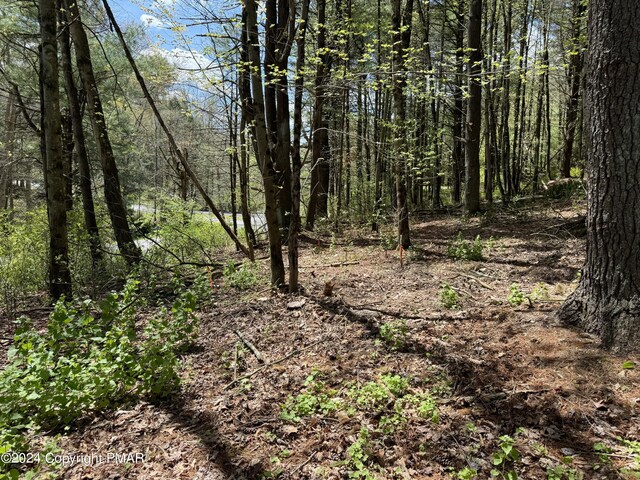 Haney Rd, Kunkletown, PA 18058 - photo 9