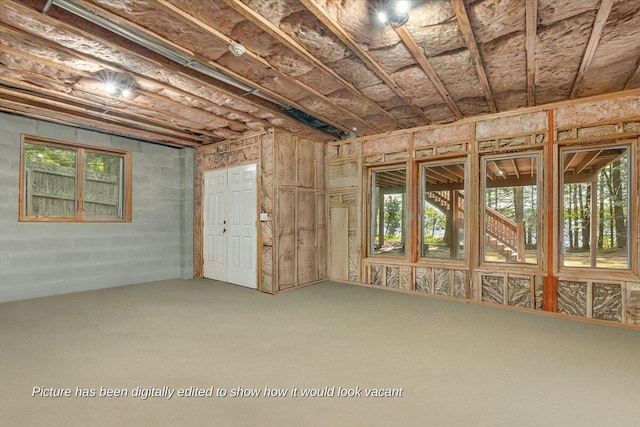 24 Glen Rd, Lake Ariel, PA 18436 - view of below grade area