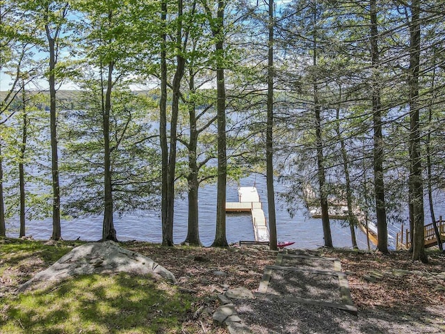 24 Glen Rd, Lake Ariel, PA 18436 - water view with a boat dock