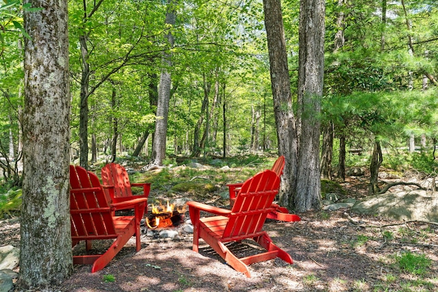 8 Big Boulder Rd, Lake Harmony, PA 18624 - view of yard with a view of trees