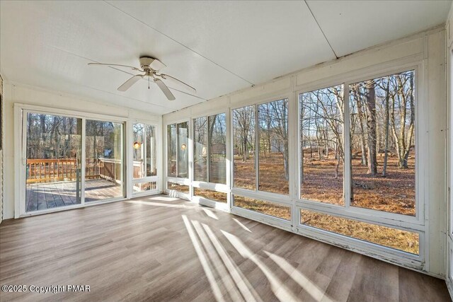 unfurnished sunroom featuring a ceiling fan