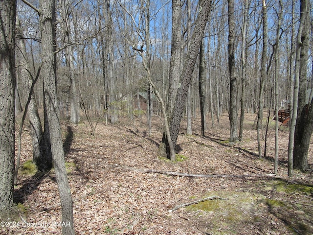 Listing photo 3 for LOT019 Holiday Dr, White Haven PA 18661