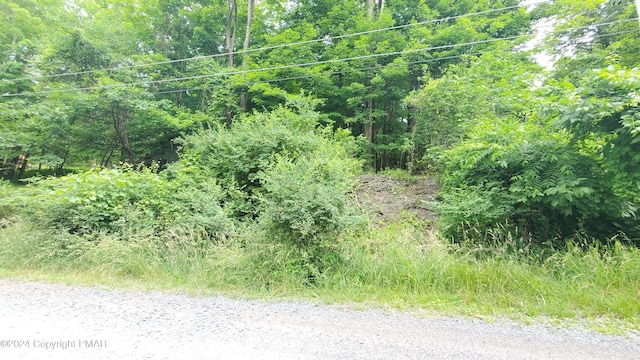 Listing photo 2 for LOT180 Stony Hollow Cir, Bushkill PA 18324