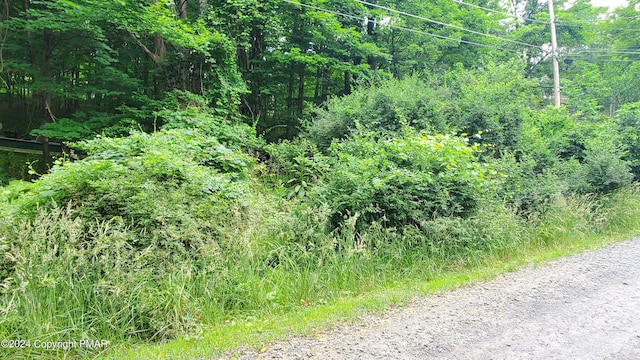 Listing photo 3 for LOT180 Stony Hollow Cir, Bushkill PA 18324