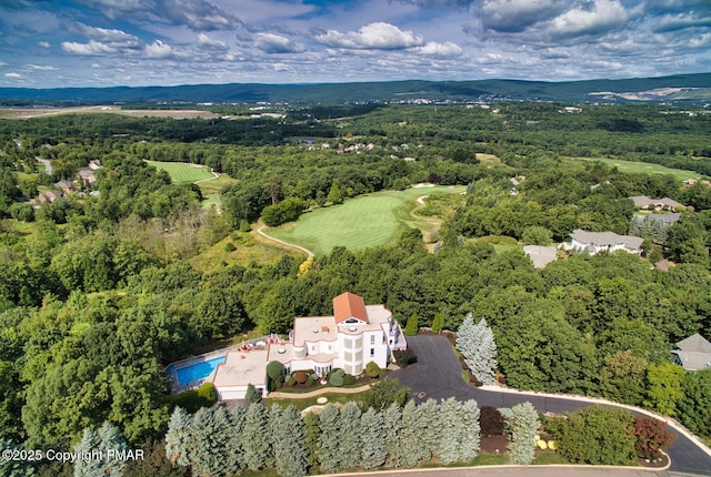 bird's eye view with a view of trees