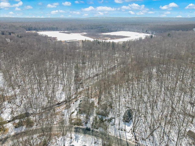 bird's eye view with a forest view