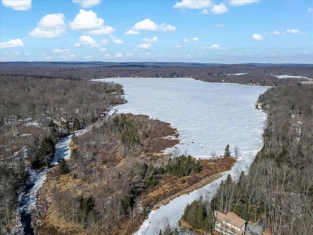 drone / aerial view with a view of trees and a water view