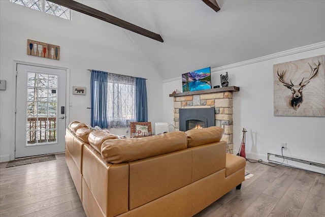 living room featuring wood finished floors, a fireplace, and a healthy amount of sunlight