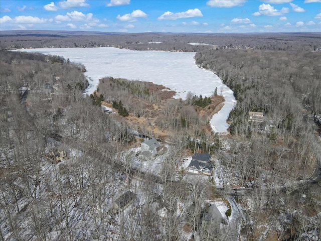 aerial view featuring a view of trees and a water view