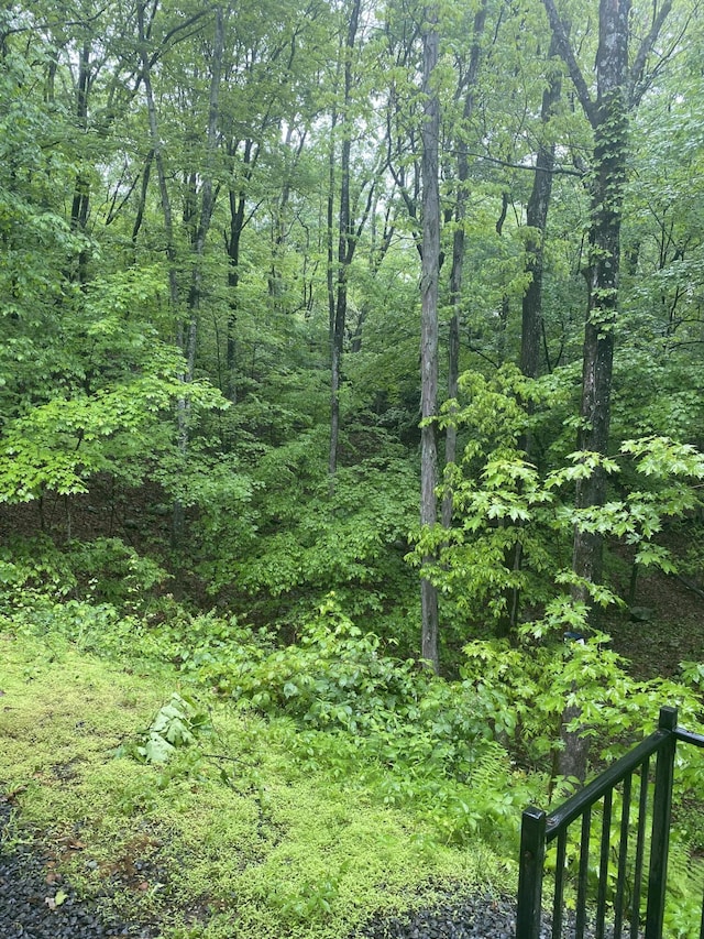 106 Alwen Ave, East Stroudsburg, PA 18301 - view of tree filled area