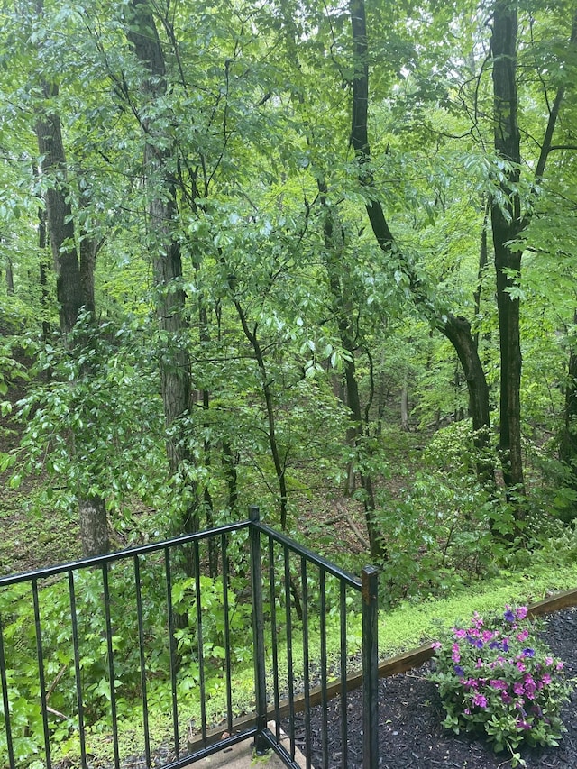 106 Alwen Ave, East Stroudsburg, PA 18301 - gate with a view of trees