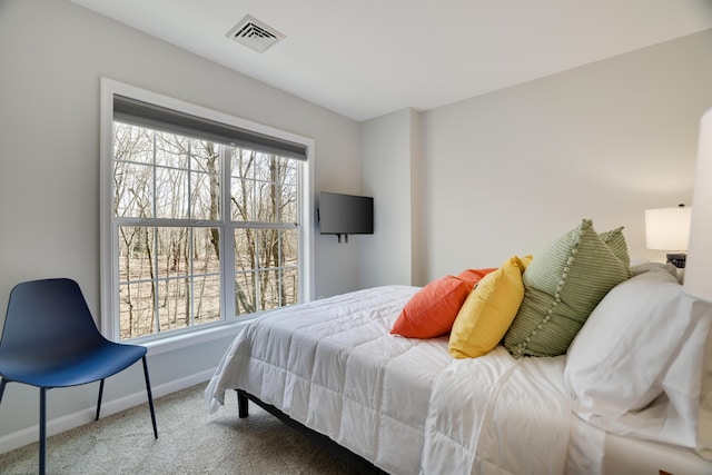 106 Alwen Ave, East Stroudsburg, PA 18301 - carpeted bedroom with baseboards