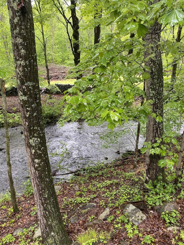 106 Alwen Ave, East Stroudsburg, PA 18301 - water view with a forest
