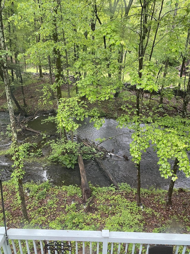 106 Alwen Ave, East Stroudsburg, PA 18301 - view of yard