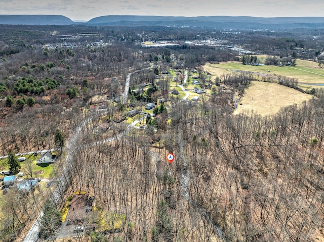 106 Alwen Ave, East Stroudsburg, PA 18301 - aerial overview of property's location featuring mountains