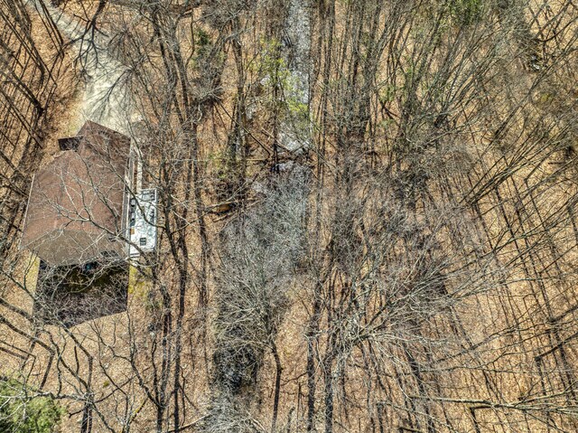 106 Alwen Ave, East Stroudsburg, PA 18301 - aerial view