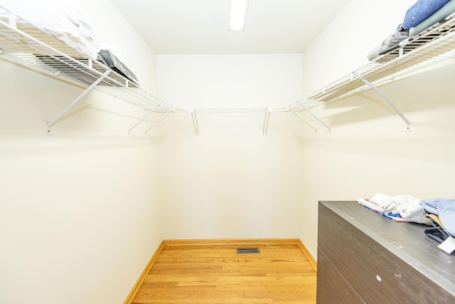 walk in closet featuring visible vents and light wood-type flooring