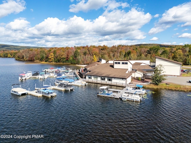 273 Four Seasons Dr, Drums, PA 18222 - photo 44