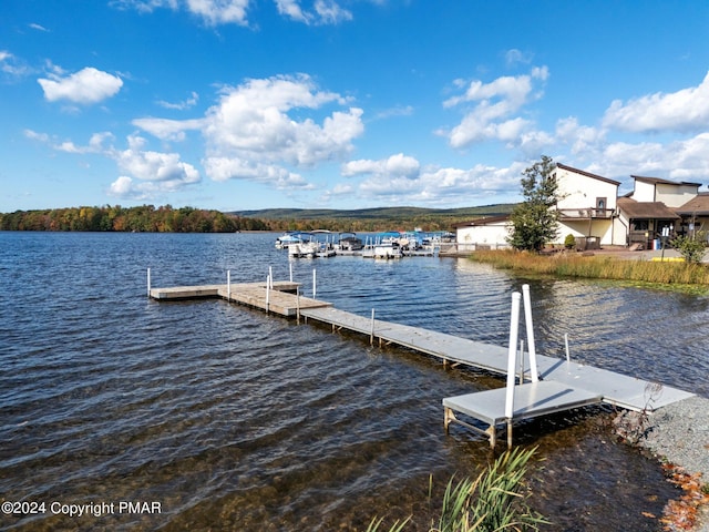 273 Four Seasons Dr, Drums, PA 18222 - photo 46