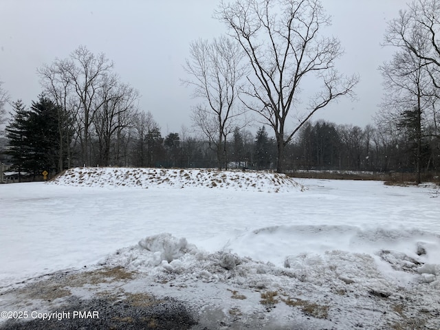 view of yard layered in snow