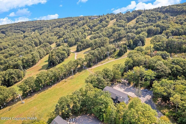 bird's eye view with a view of trees