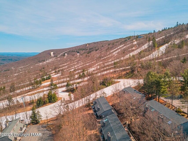 view of mountain feature