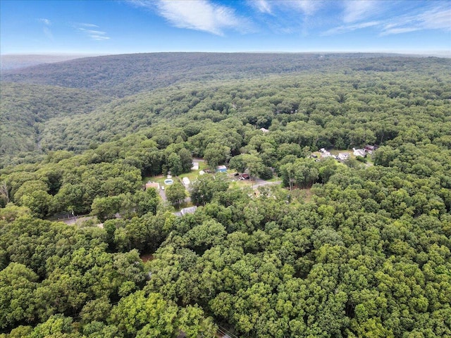 754 Clubhouse Dr, East Stroudsburg, PA 18302 - aerial view of a forest