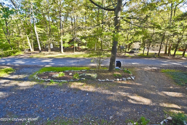 view of yard with driveway